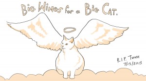 Big Wings for a Big Cat